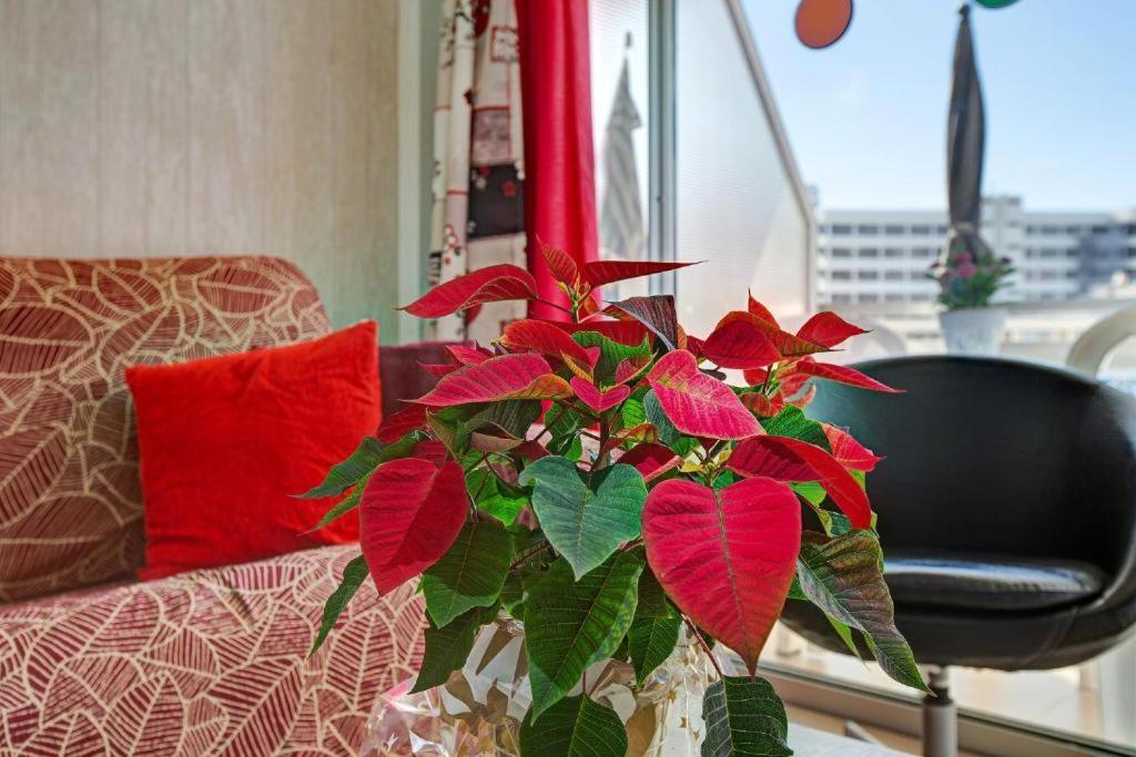 Los Elefantes Beach House San Bartolomé المظهر الخارجي الصورة
